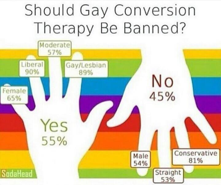 Infographics - a survey of people on the prohibition of conversion therapy