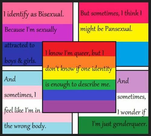 Exactly What Does Lgbt Mean Quick Guide For You Queer Life